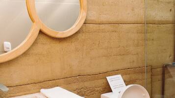 Shower, hair dryer, soap