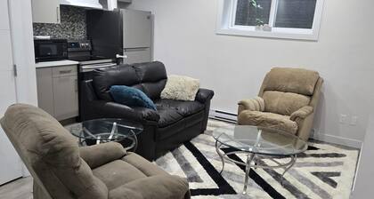 Luxury one bedroom basement suite in downtown of Edmonton Alberta.