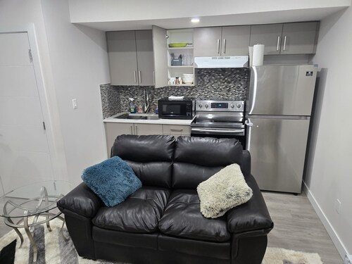 Luxury one bedroom basement suite in downtown of Edmonton Alberta.