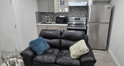 Luxury one bedroom basement suite in downtown of Edmonton Alberta.