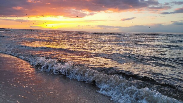 Strand