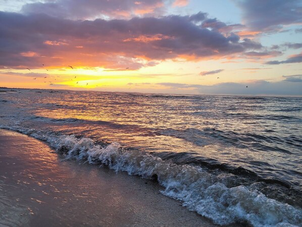 Strand