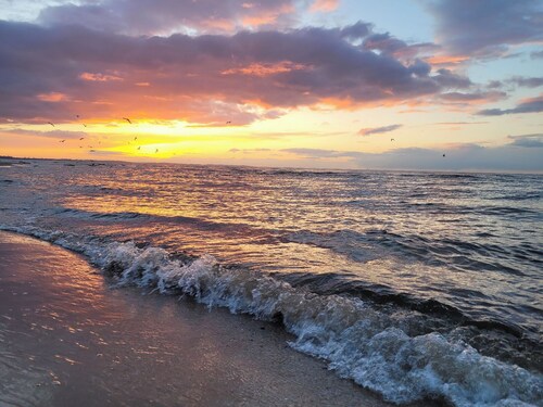 Vacation apartment with garden pet friendly Baltic Sea Island Wolin Misdroy Poland