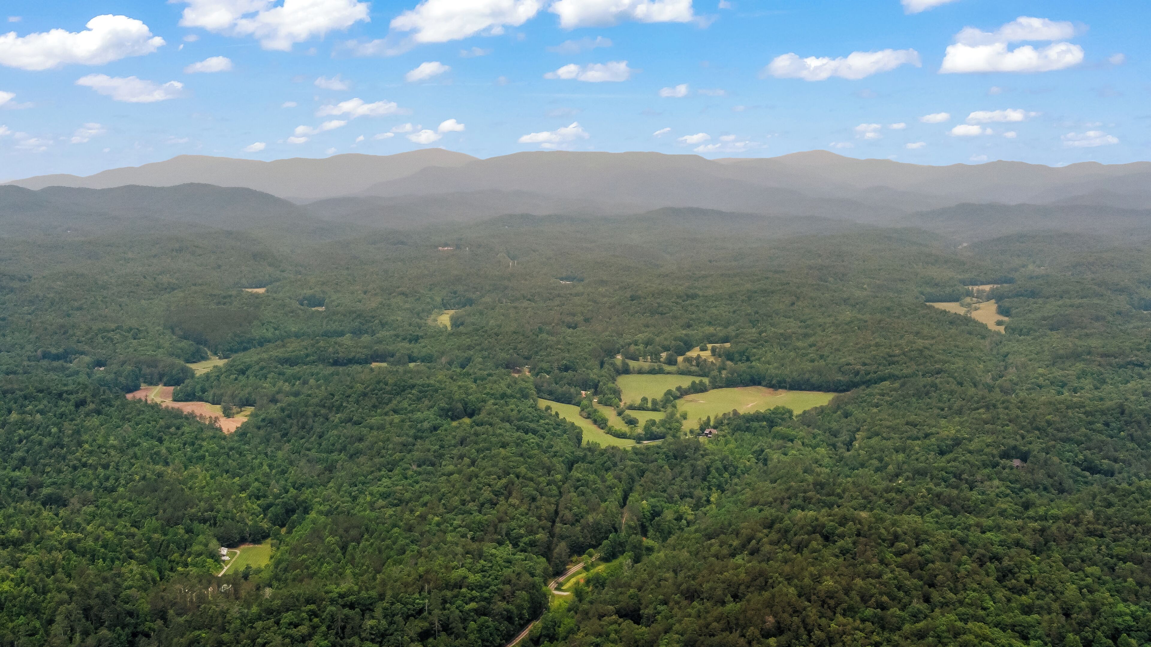 A vast forested landscape with rolling hills and a clear sky.