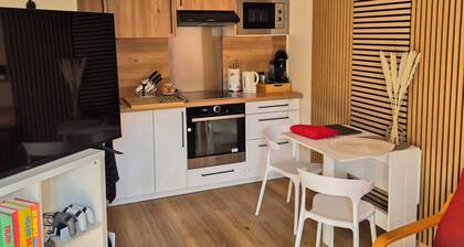 LOCATION T2 CLIMATISĂ, MEUBLĂ, CALME, PRĂS CENTRE-VILLE AVIGNON, IDĂAL FESTIVAL