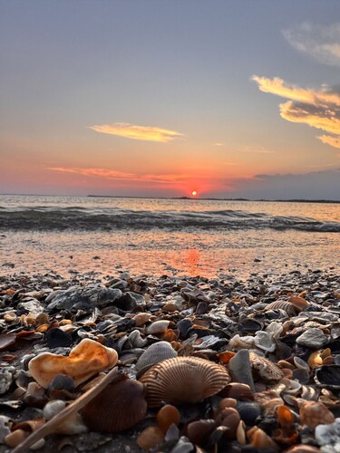 The Salty Egret - Free Pool Pass