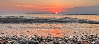 The Salty Egret - Free Pool Pass