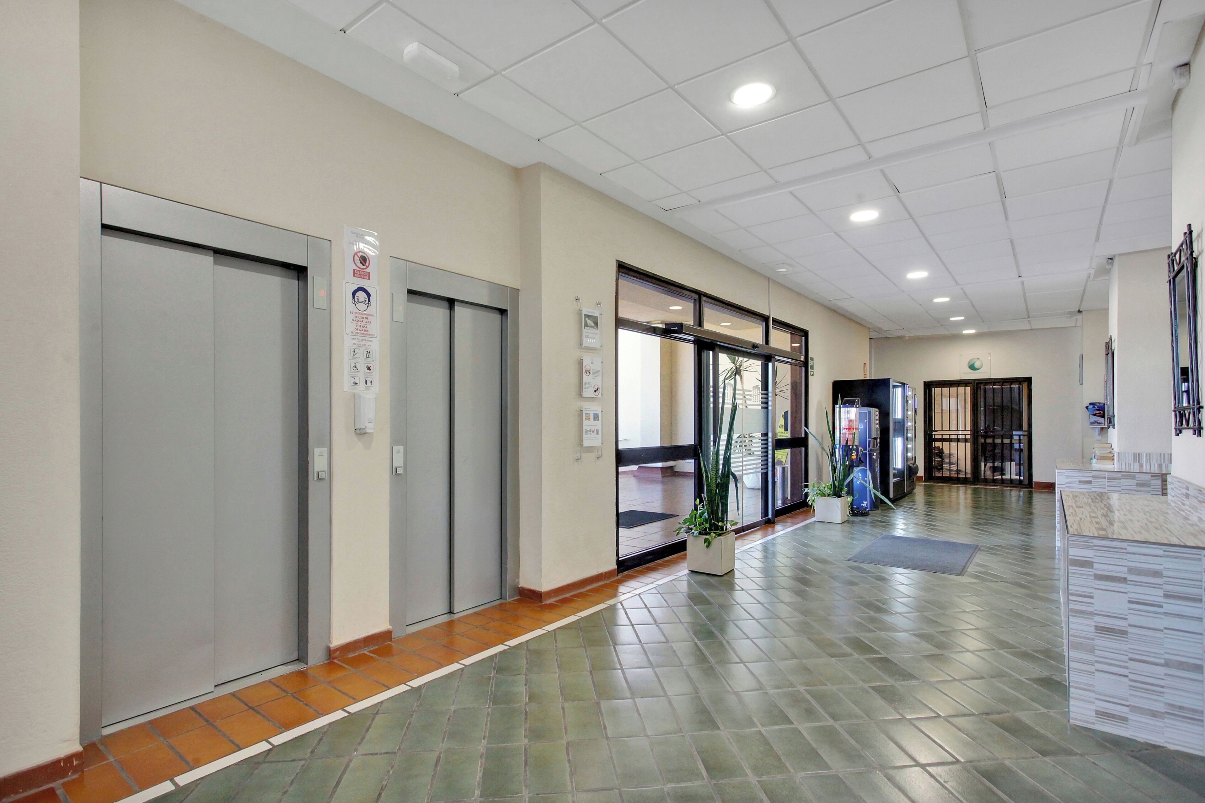 A clean, modern hallway with two elevators, a reception desk, and a potted plant.