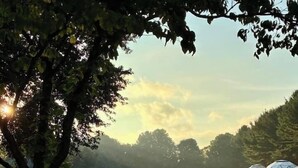 Un paysage rural avec une rangée de structures en forme de dôme, probablement destinées à servir d’hébergement ou de lieux d’événements, entourées d’arbres et d’un champ d’herbe.