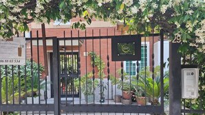 A gated entrance with a sign for a dental clinic, a number plaque, and potted plants. - A Casa di Noele (Roma)