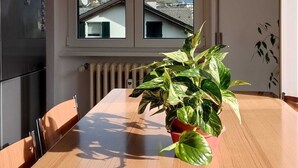 A dining area with a wooden table, two potted plants, and a view of a mountain through a window. - Tiranoexpress 2 floor (Tirano)