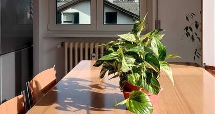 Tiranoexpress 2 floor