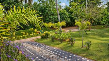 Un chemin pavé traverse un jardin luxuriant où poussent différentes espèces de plantes et d’arbres.