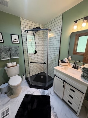 Ein Badezimmer mit einer Duschkabine, einer Toilette, einem Waschbecken inklusive Spiegel und einem schwarzen Teppich auf dem Boden.