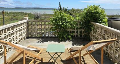 On the edge of a salt pond, house with terrace facing the water and pink flamingos