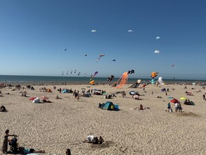 A beach with people, tents, and various kites.