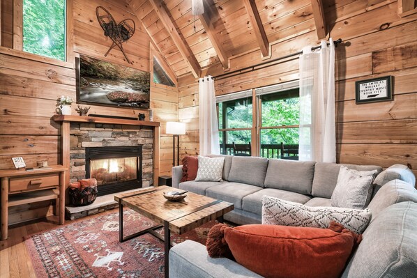 Smart TV, fireplace, video games, books