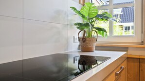 Een keuken met een zwart aanrecht, een potplant en een raam met uitzicht op een huis.