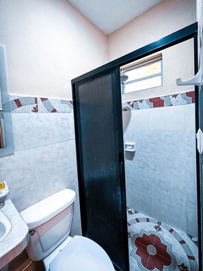 Shower, hair dryer, soap, toilet paper