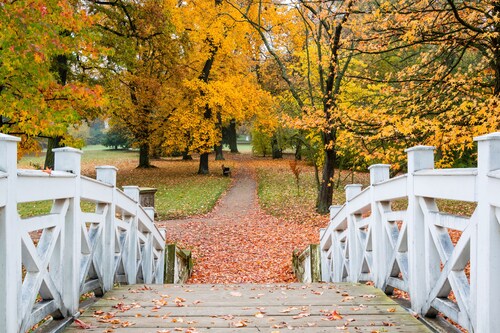 Vacation home Dessau - Vacation between Bauhaus and UNESCO World Heritage Site