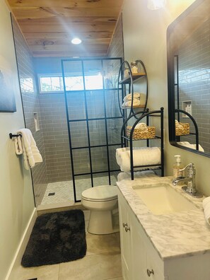 Shower, hair dryer, bidet, towels