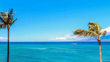 Chaises longues, serviettes de plage