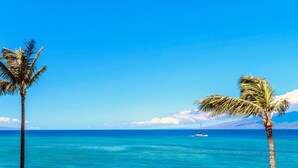 Ein Strand mit klarem türkisblauem Wasser, einer Segelyacht und Palmen.