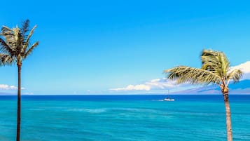 Sun-loungers, beach towels