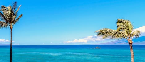 Sun-loungers, beach towels