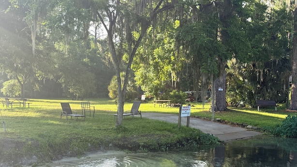 A dog swimming in a clear pool surrounded by a grassy area with benches and a 'Private Property No Trespassing' sign. - “30 Day or more rental” Private RAINBOW RIVER access! (Dunnellon)