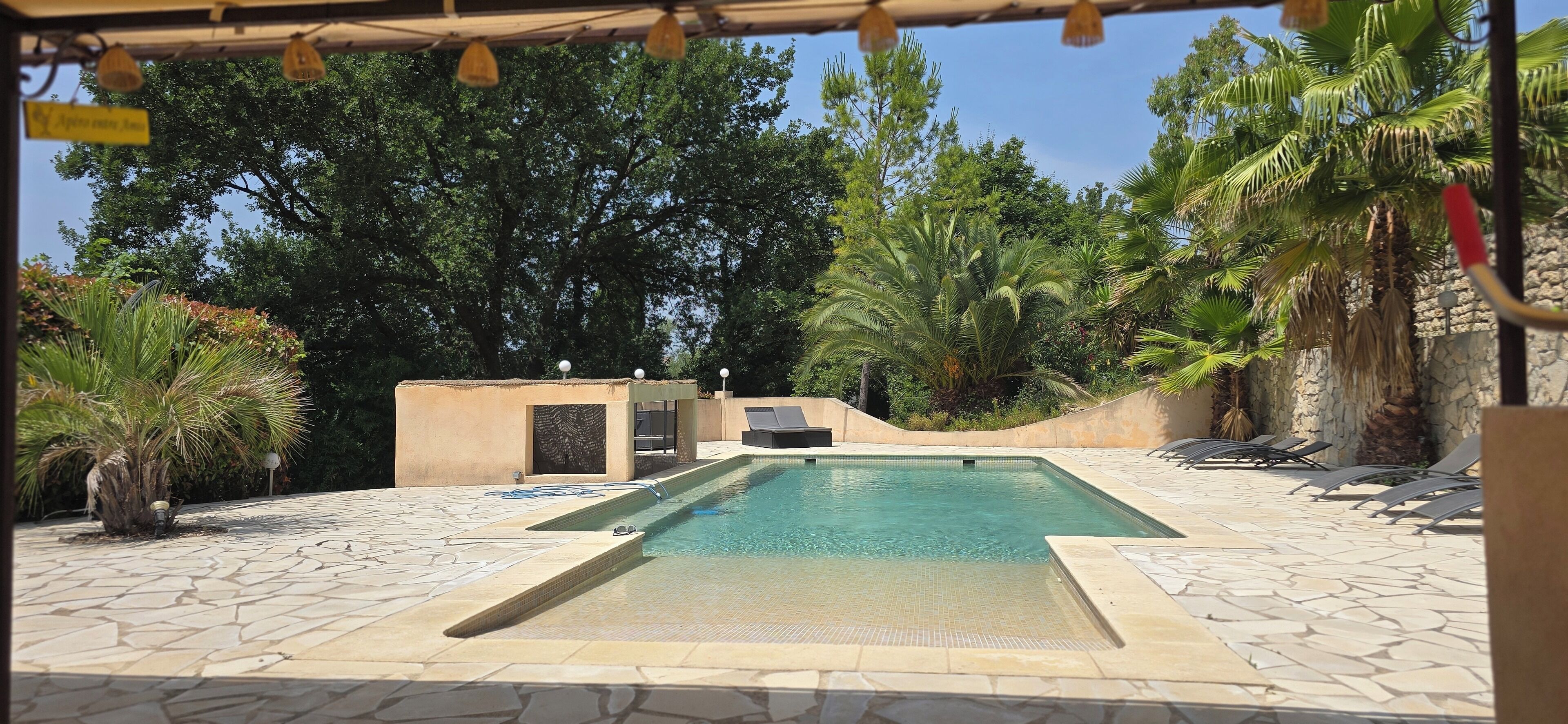 A swimming pool with a stone deck, surrounded by palm trees and a stone wall.
