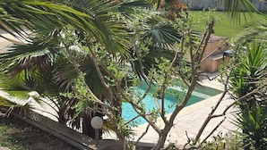 Zona de piscina rodeada de abundante vegetación, con palmeras y otras plantas tropicales.