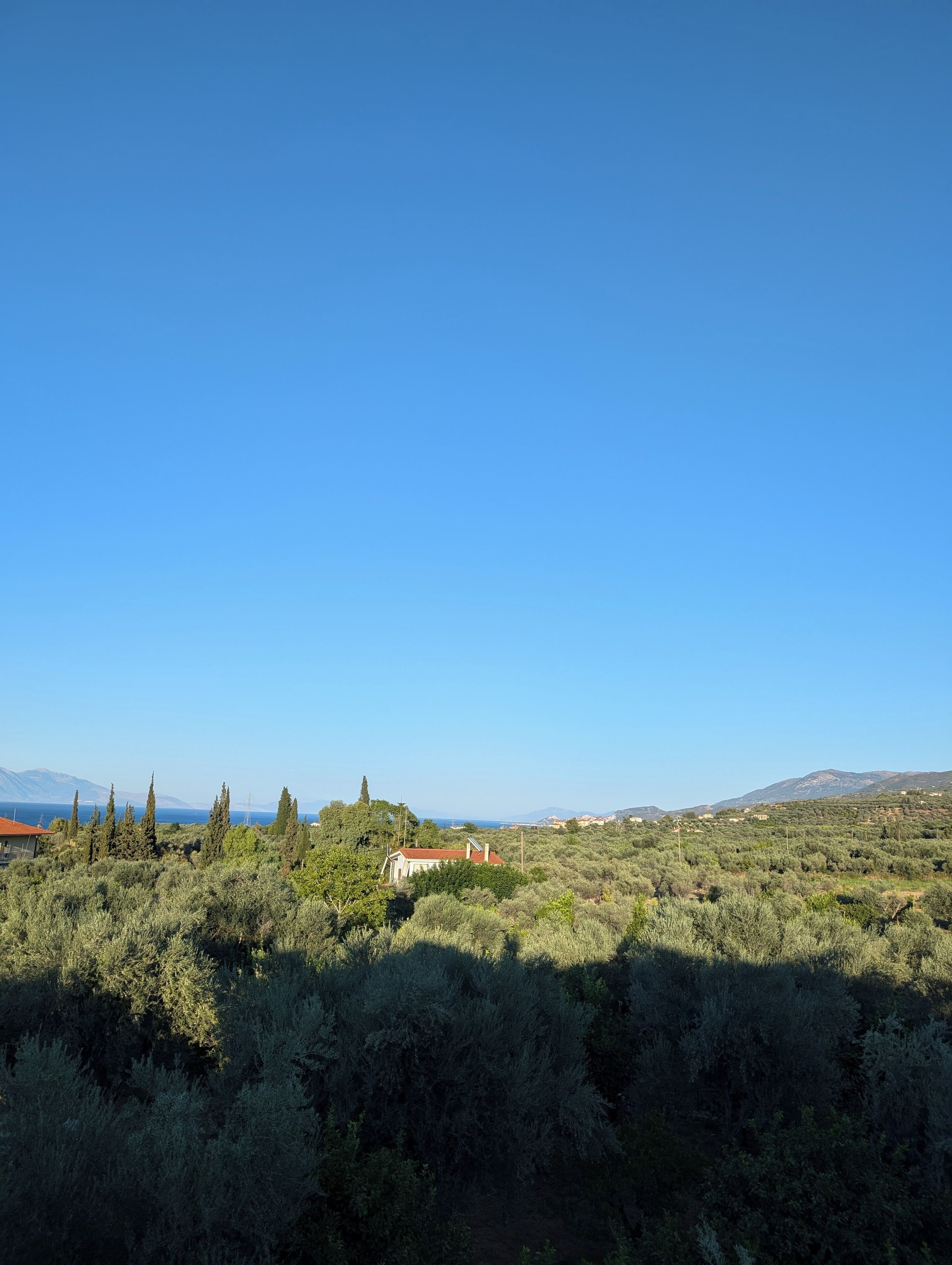 A rural landscape with a house surrounded by dense shrubbery and trees.
