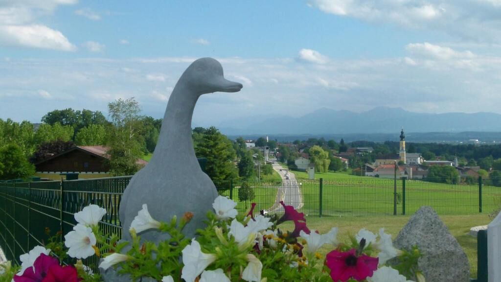 Una scultura di un'anatra in un giardino, con fiori sullo sfondo e vista su una città con una chiesa.