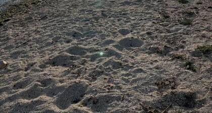 Magnifique Loft proche centre ville