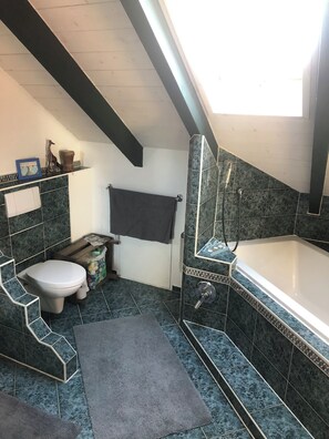 Sèche-cheveux, serviettes fournies, savon, papier toilette