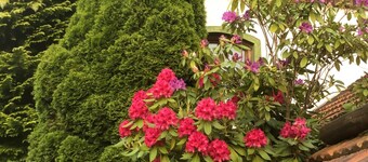 Farmhouse for long-term rental