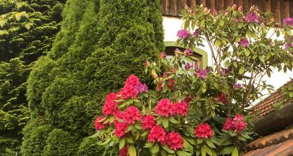 Farmhouse for long-term rental