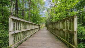 Eine Holzbrücke in bewaldeter Landschaft.