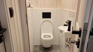 Shower, towels, soap, toilet paper