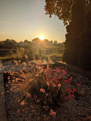 المنطقة المحيطة بالمنشأة