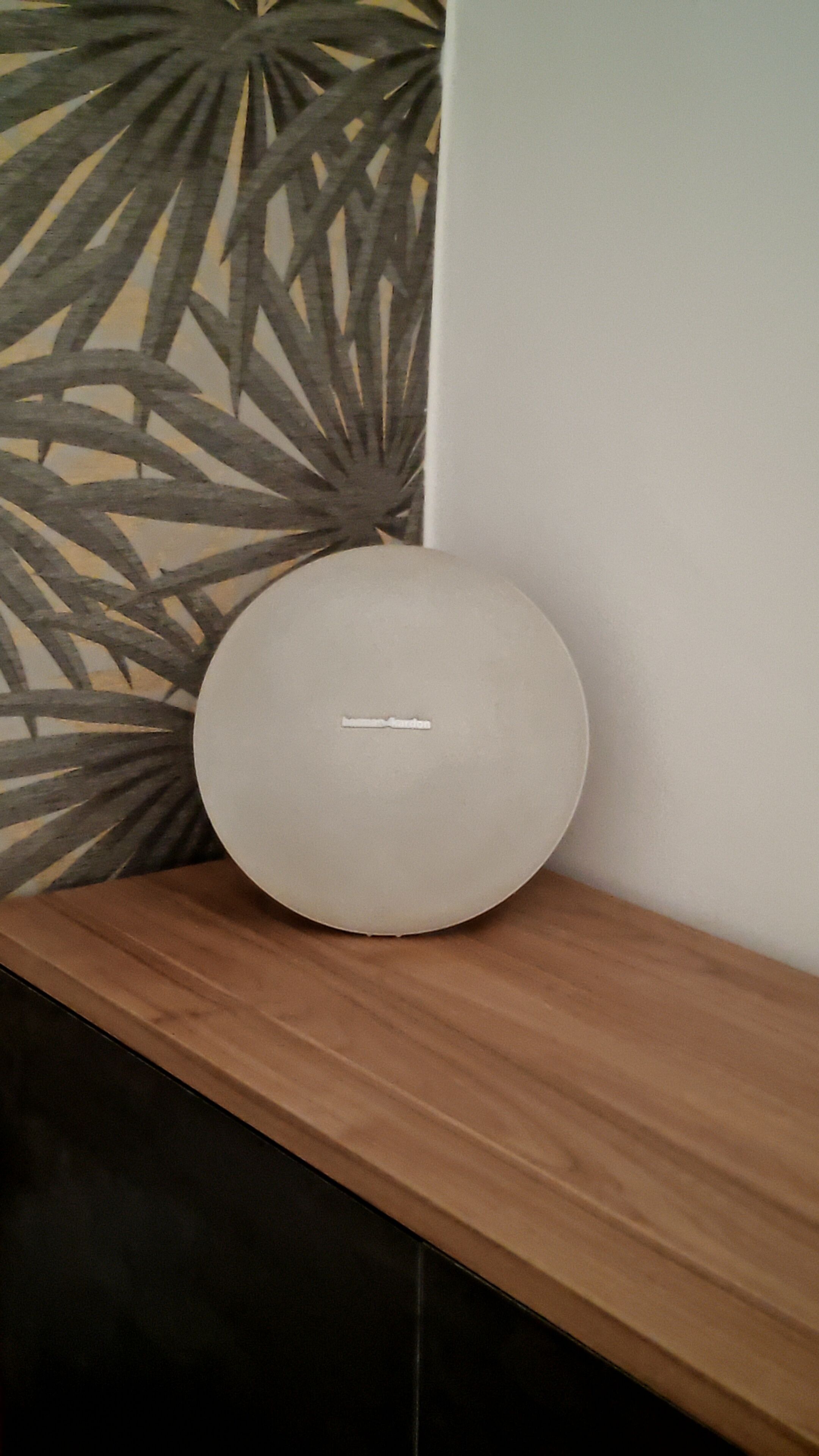 Un haut-parleur blanc, posé sur une étagère en bois, devant un mur orné d’un motif de feuilles.