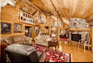 TV connectée, cheminée, lecteur de DVD, livres