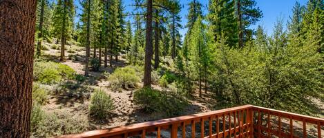 A wooden deck with a view of a forested area.