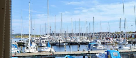 Pemandangan dari properti