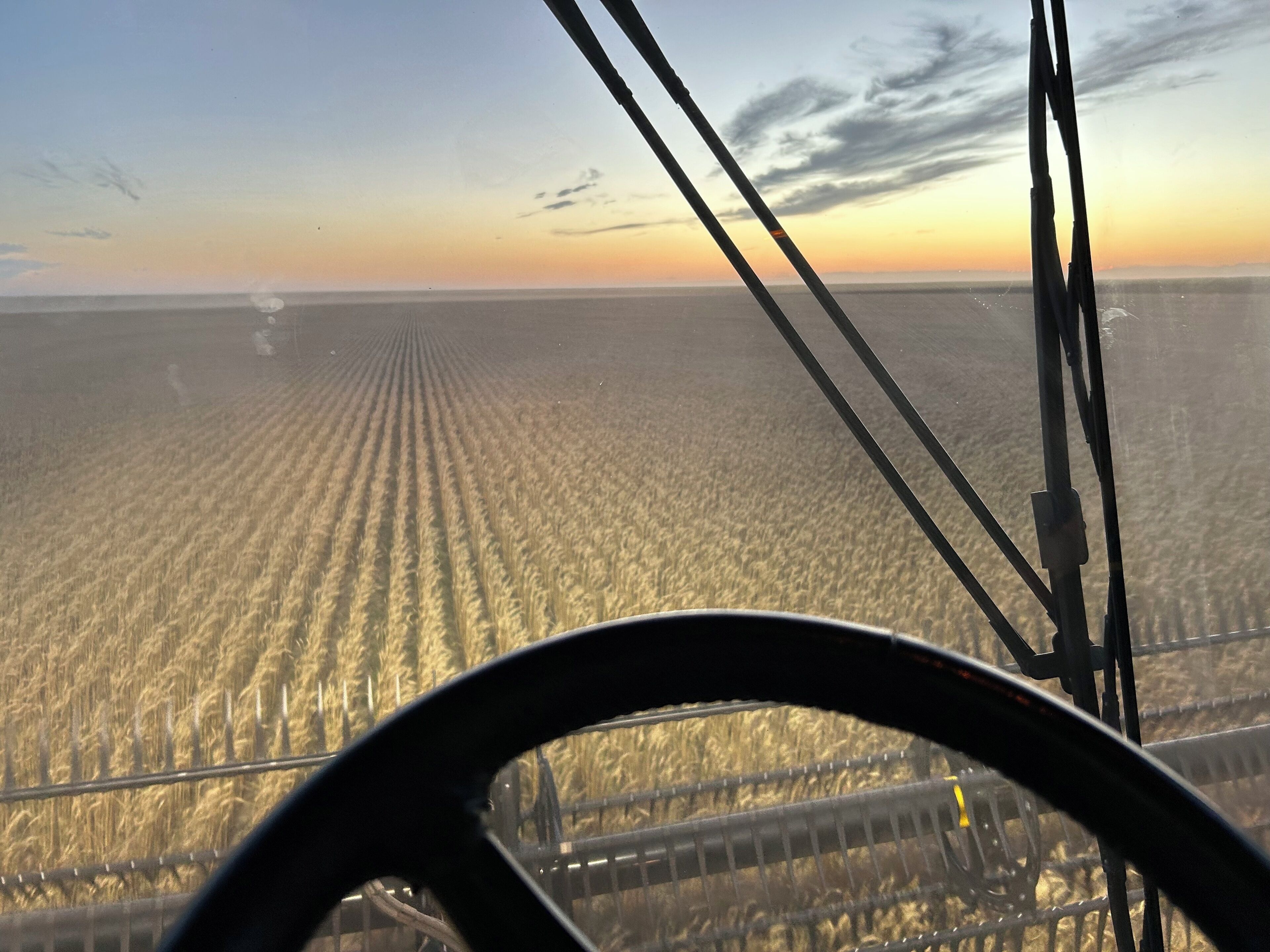Aussicht vom Autoscheiben, mit einem weitläufigen Feld unter blauem Himmel.