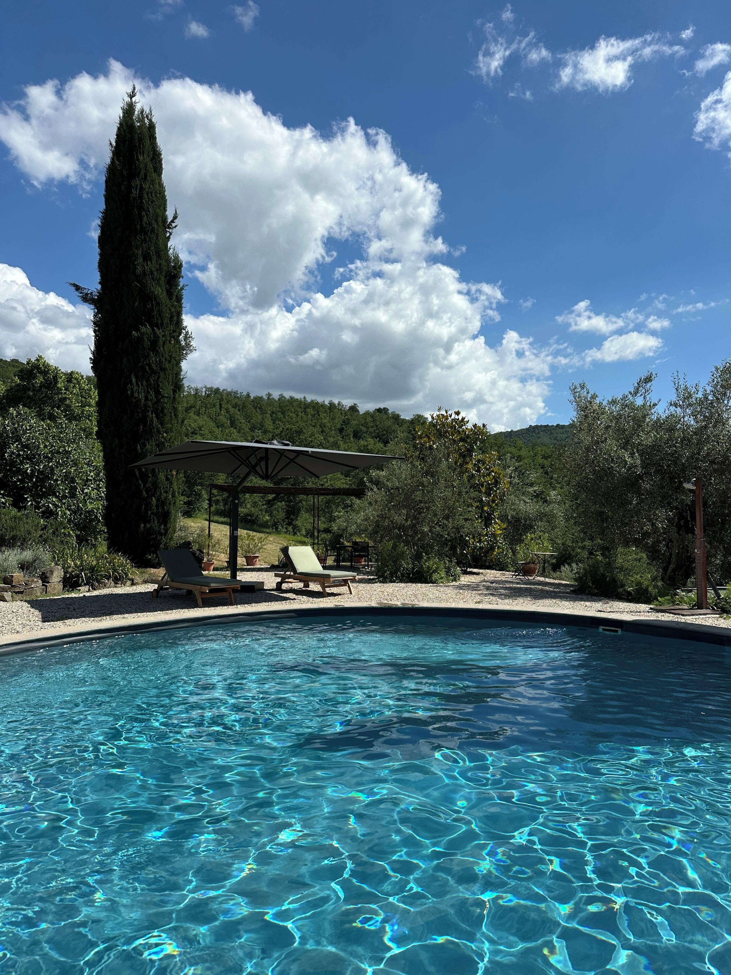 Una piscina cristalina con sillones de descanso y una pérgola, rodeada de follaje y un árbol alto.