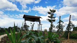 A garden with a stone wall, various plants, and a metal structure.
