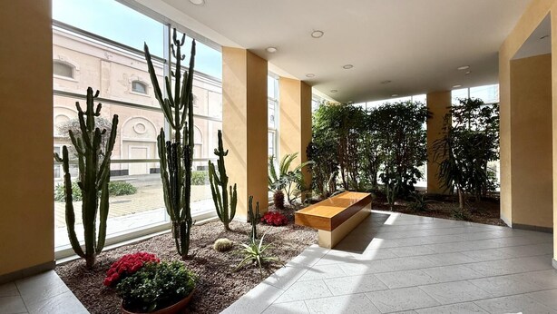 Un vestíbulo amplio con ventanas grandes, un jardín de cactus y una zona de estar central.