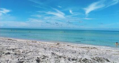 Pool home on canal, 7 min to beach, 1 block to boat ramp, walk to Dearborn St!